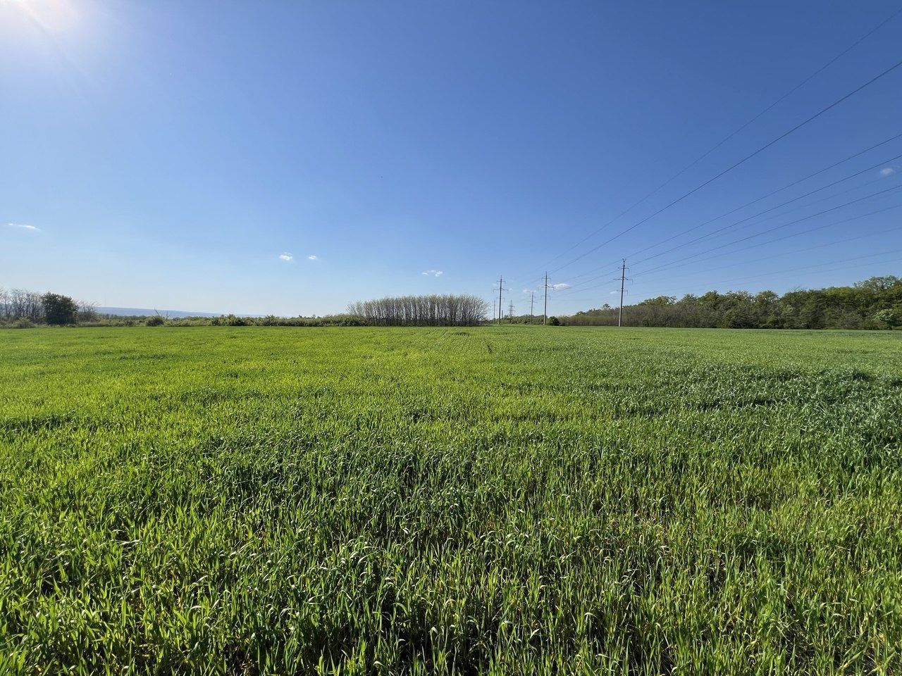 Teren agricol de 24 ari în Ghidighici – aproape de pădure, potrivit pentru investiție sau activitate agricolă - Poză 1