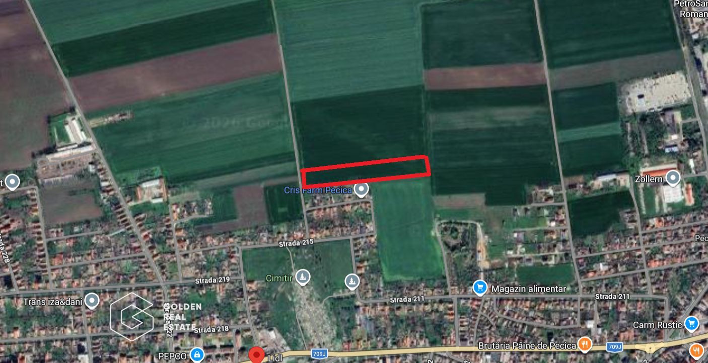 Teren extravilan, 2 hectare, oras Pecica - Poză 1