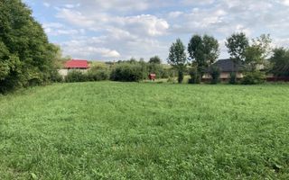 Teren Intravilan 3200 mp de vânzare - Poză 4