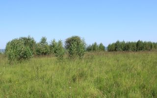Teren extravilan de vânzare | Arpașu de Sus | 3100 mp - Poză 1