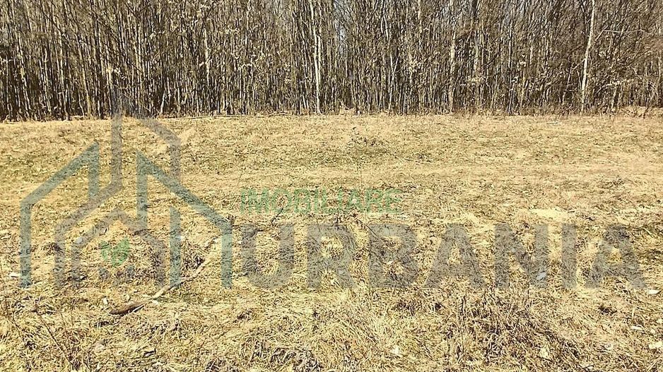 Teren forestier de vânzare, 1 ha, județul Neamț, comunele Rediu Borlești, OS Tazlău - Poză 7