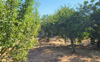 BRASADAS vinde casa in zona str. Teilor. - Poză 4