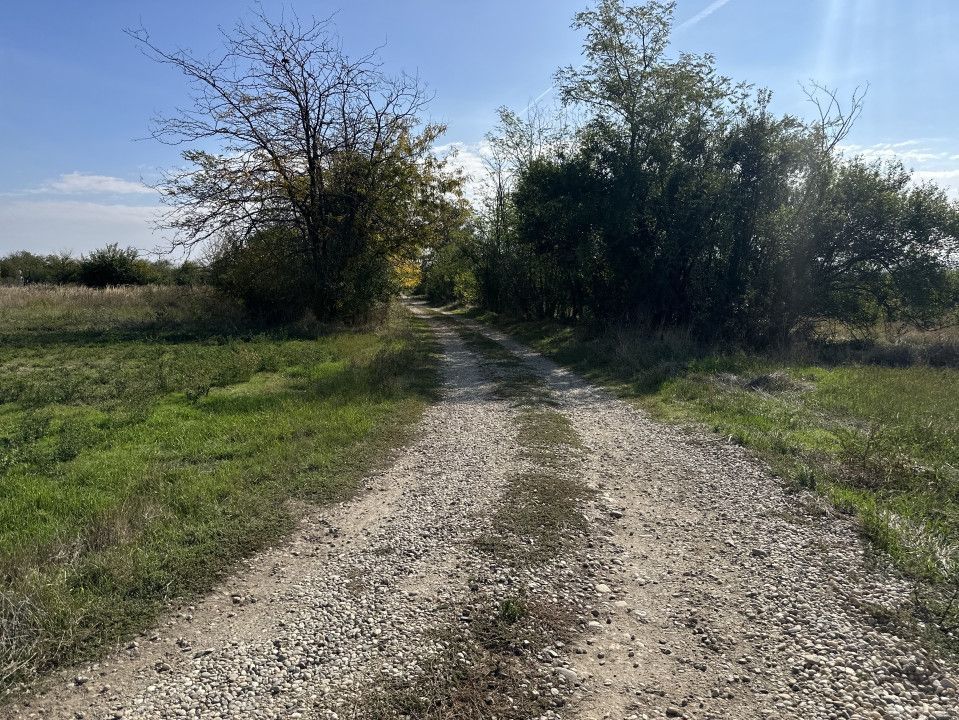 Teren intravilan 3700 mp la 28 km de Pitesti  - zona linistita - Poză 3