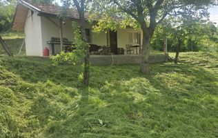 Oază de liniște și natură! Casă  cu 2 heleșteie și pârâu în curte – Probota