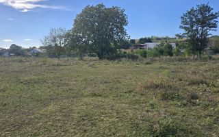 Teren 3.750 mp în Câmpina – 76 ml deschidere | Ideal pentru investiție - Poză 6