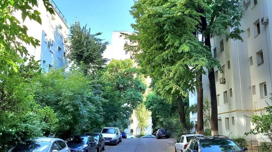 GARSONIERA COCHETA, ROND ALBA IULIA - Poză 8