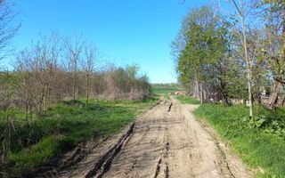 Teren intravilan 2927 mp - com. Domnesti sat Teghes - Poză 7