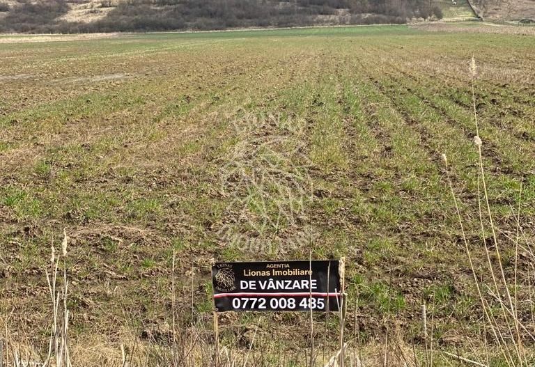 Teren Intravilan-3750mp- zona in plina dezvoltare-Podirei - Poză 5