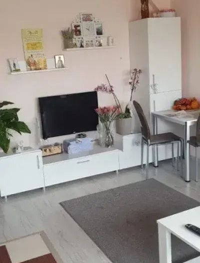 Apartament 3 cam zona Aradului mansarda. - Poză 3
