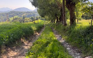 Teren Sohodol 5000 mp - Poză 3