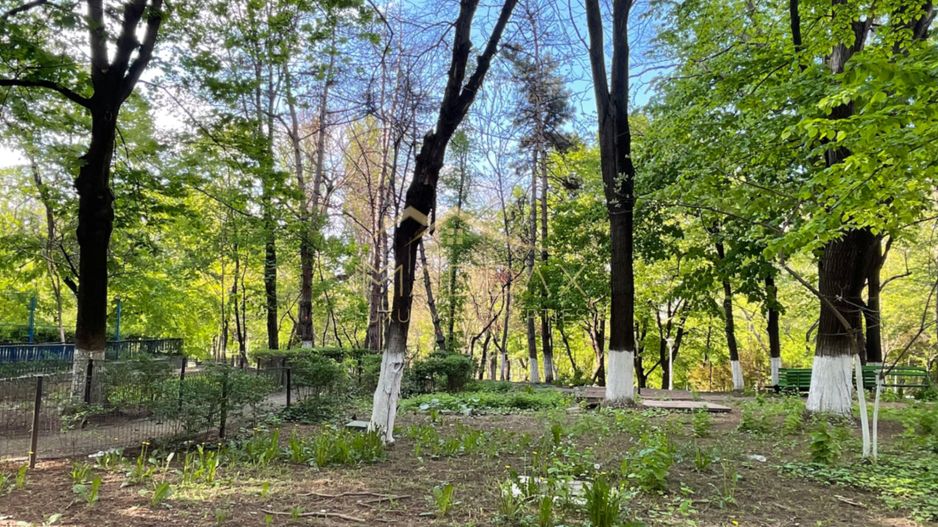 Garsoniera Premium in Vila interbelica**Boxa+Mansarda+Curte/R. Beller/DOROBANTI - Poză 39