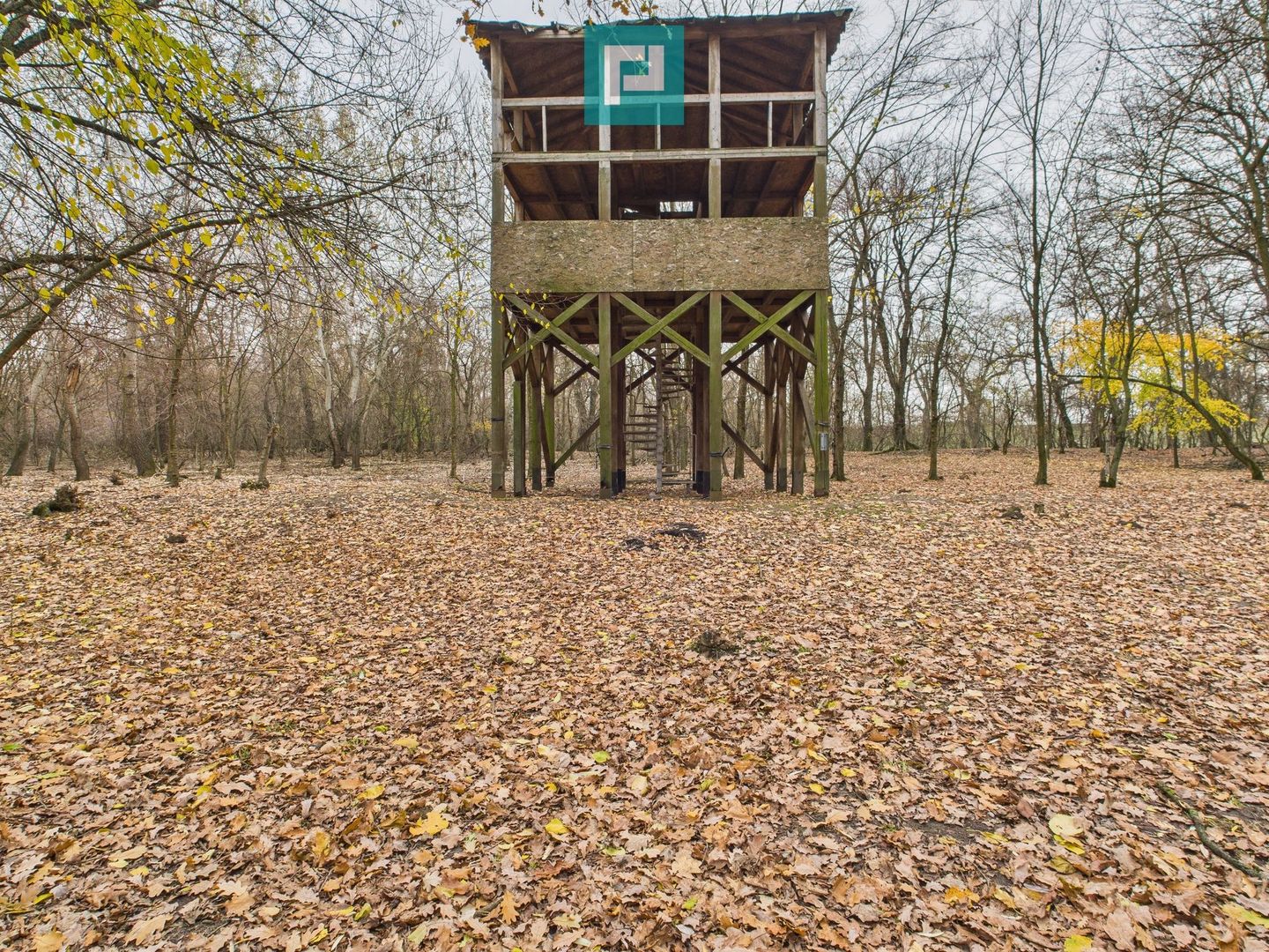 Teren pe malul Muresului- oportunitati multiple - Poză 17