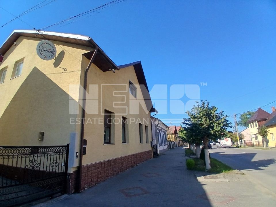 Vile spatioase| 1 mai - Poză 2