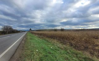 Teren intravilan 3800 mp, zona Santandrei - Poză 1