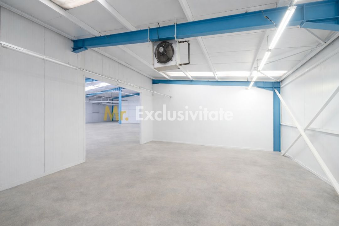 HALA INDUSTRIALA 595 MP | DN 65B – BRADU | CURTE 1.466 MP | AUTOSTRADA - Poză 8