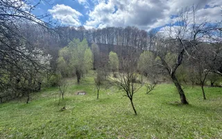 TEREN INTRAVILAN 4365 MP POENARII DE MUȘCEL  JUDEȚUL ARGES - Poză 17
