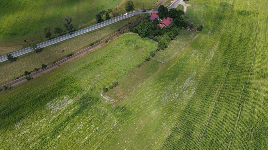 TEREN 5.001 MP – POZIȚIE EXCEPȚIONALĂ LA IEȘIREA DIN ZĂRNEȘTI - Poză 10