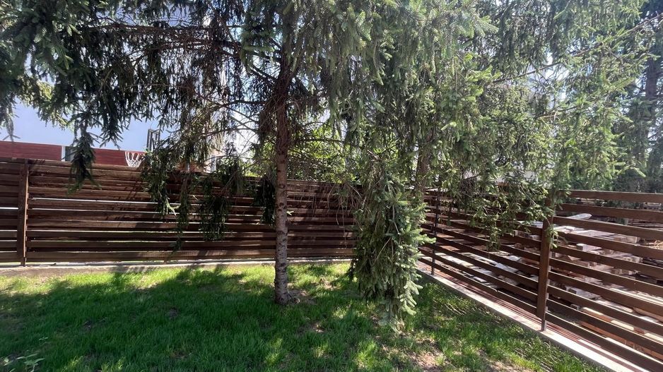 Vilă individuală modernă, P+1+M, cu curte generoasă  Tunari - Poză 6