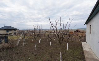 Vânzare, casă, 4 camere, str. Mitropolit Varlaam, Cimișlia - Poză 30