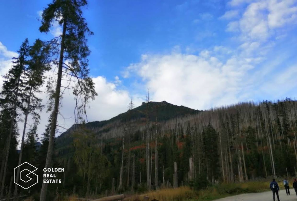 Padure de stejar, Ususau, suprafata 29.800 mp, comision 0% - Poză 1