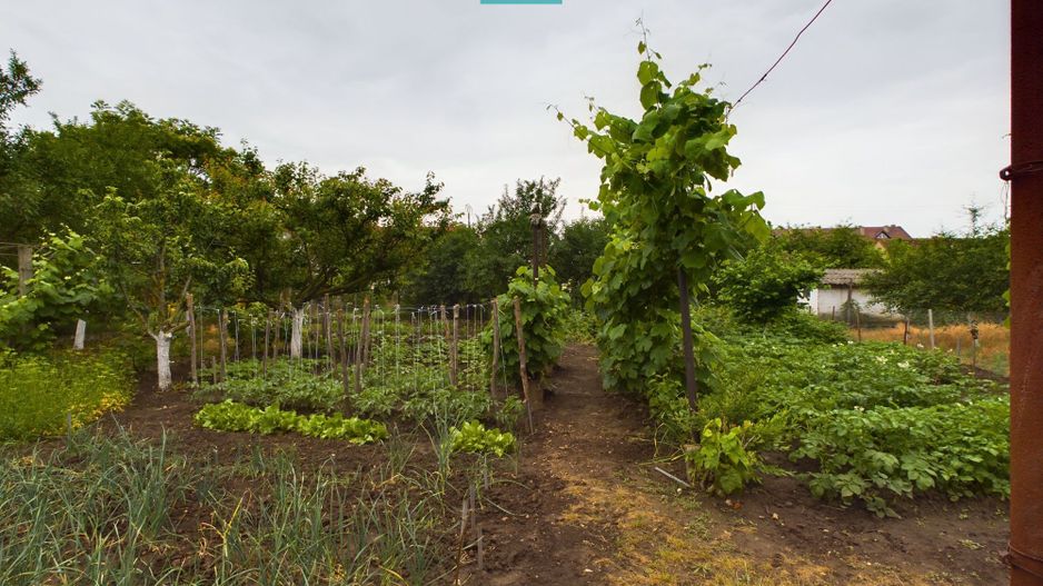 Casă ideală pentru o familie numeroasă, Sântana - Poză 17