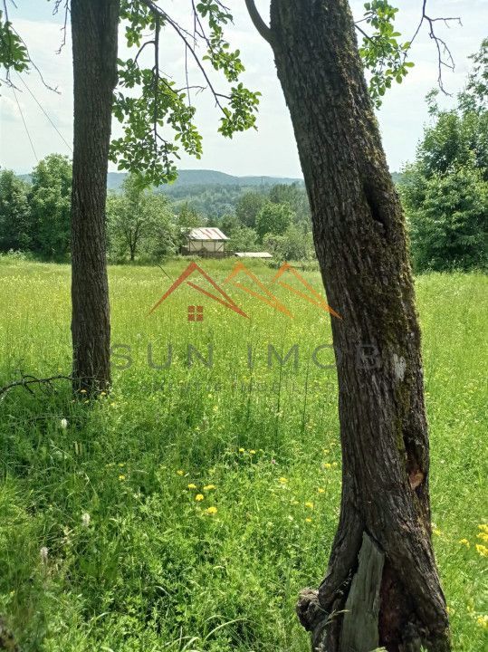 Teren 1500 m2, plan, utilitati in zona, Bustenari, Prahova - Poză 3