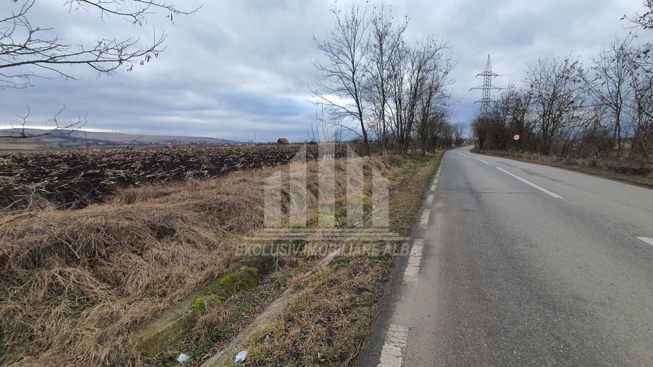 Vand teren extravilan - Poză 1