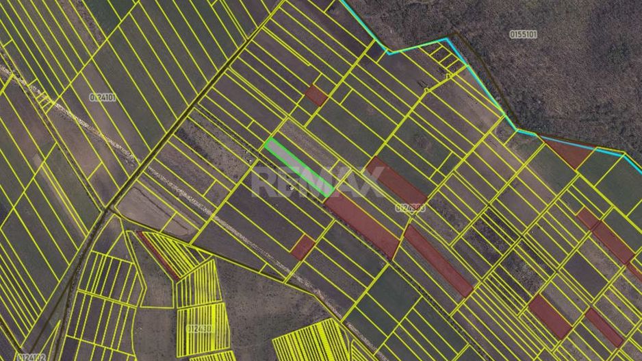 Teren agricol de 40 ari în Ghidighici – oportunitate pentru investiție sau activitate agricolă - Poză 7