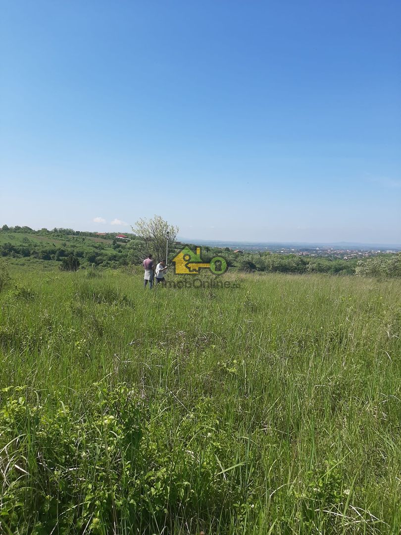 Teren Extravilan, Dealu Viilor, Lugoj - Poză 7