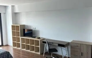 Studio Vedere Lacul Morii 43 Mp Lake House Virtuții - Poză 13