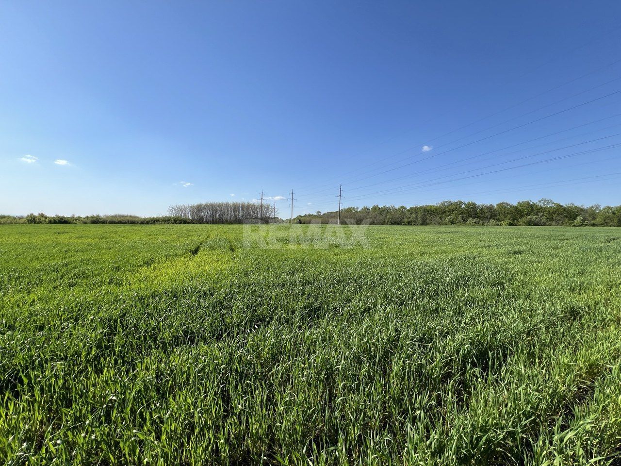 Teren agricol de 24 ari în Ghidighici – aproape de pădure, potrivit pentru investiție sau activitate agricolă - Poză 2