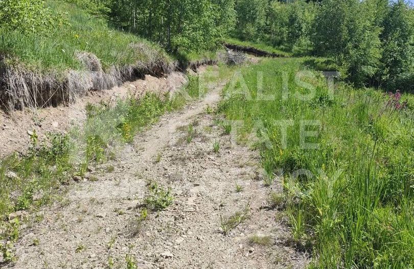 Vânzare, teren, extravilan, Suceava - Poză 3