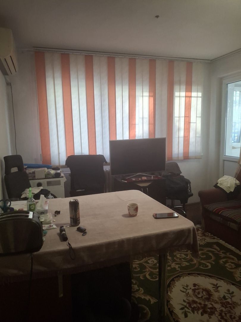 Vanzare apartament 2 camere Titan -Camil Ressu, Park Lake - Poză 10