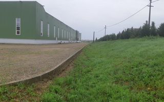 Hala de productie + birouri in Oradea - Poză 20