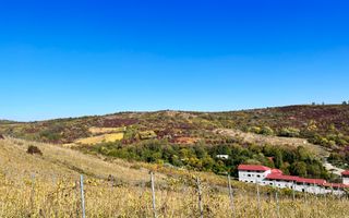 14Ha podgorie, livada pomi fructiferi, si conac 3000mp - Poză 14