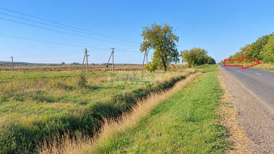 4,85 HA CU DESCHIDERE DE 300 M LA TRASEU | CRIULENI – SLOBOZIA-DUȘCA - Poză 9