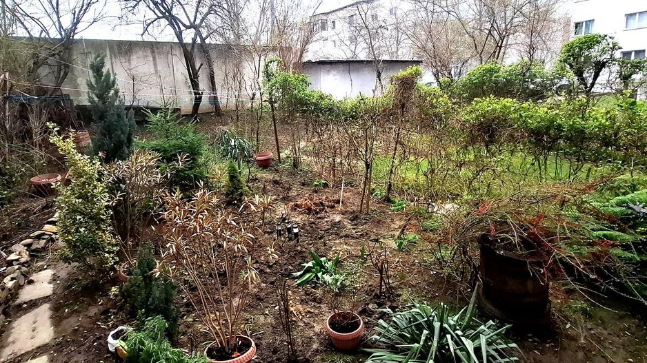 🏡 Apartament 3 camere cu grădină proprie – Parter | Zona Mioriței – B - Poză 8