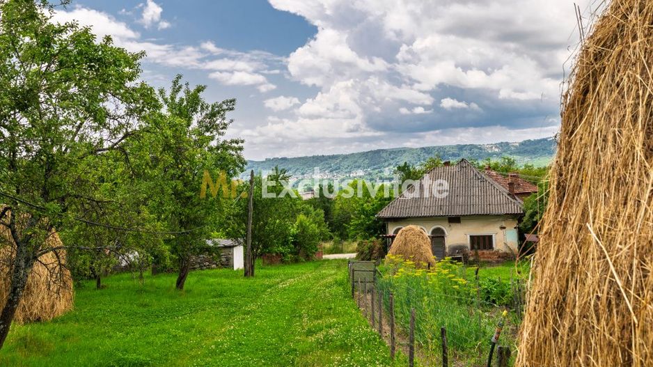 Proprietate de poveste în Corbi, Argeș - Doua case si 6300 mp teren intravilan - Poză 2