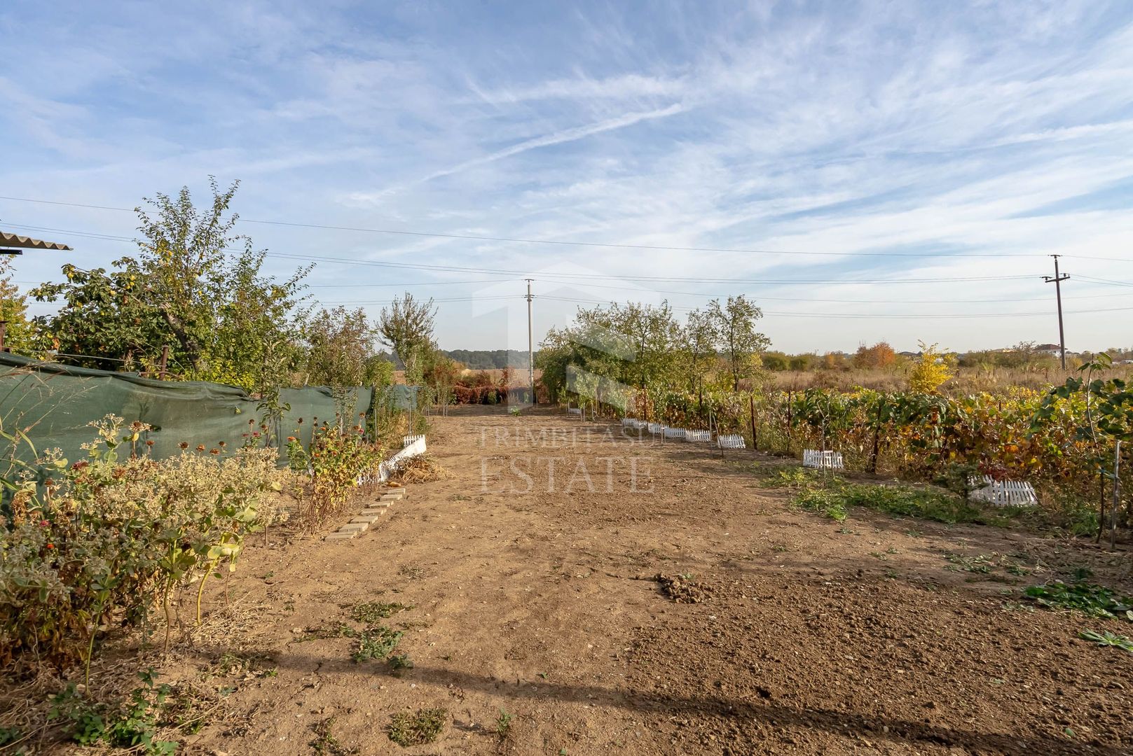 Casă modernă în Tâncăbești – 5 camere și natură la doi pasi - Poză 17