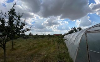 Casa Individuala Becicherecu Mic P+M,3 Camere,2 Bai,Teren 3400 mp,F.s 35m - Poză 5