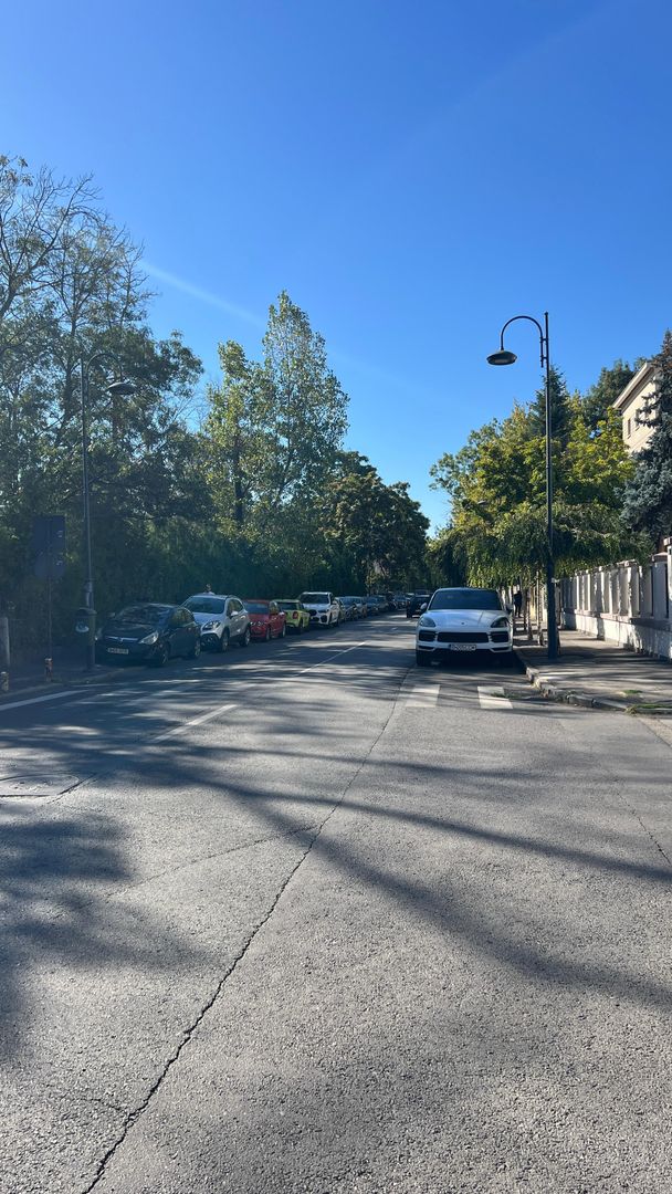 5 camere in vila | Aviatorilor - Poză 4