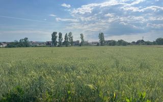 🏡 TEREN INTRAVILAN DE VÂNZARE – PIANU DE JOS, ALBA | 1.450 MP - Poză 3