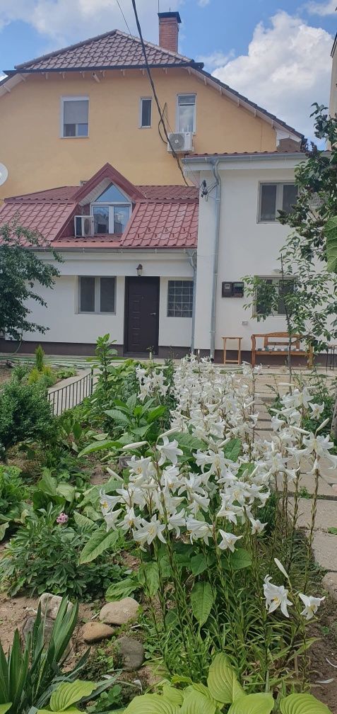 Casa Aviatiei-Herastrau - Poză 2