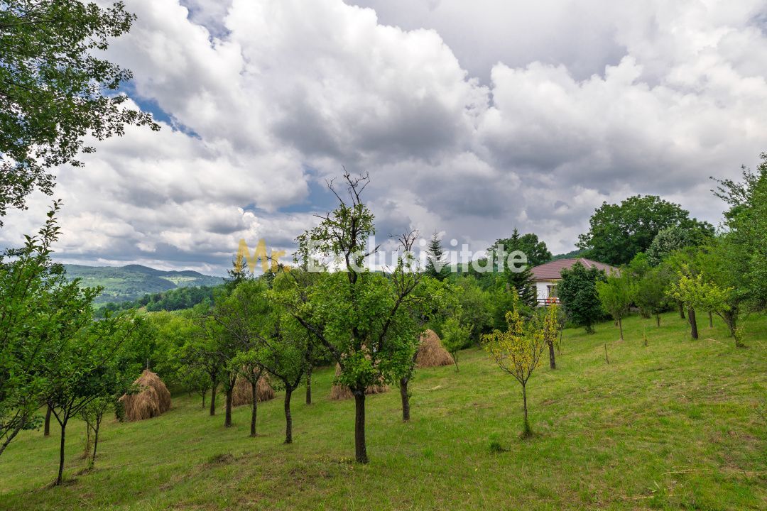 Casa moderna si casa bunicii + 6300 mp teren,Oaza autentica in Corbi Arges- - Poză 17