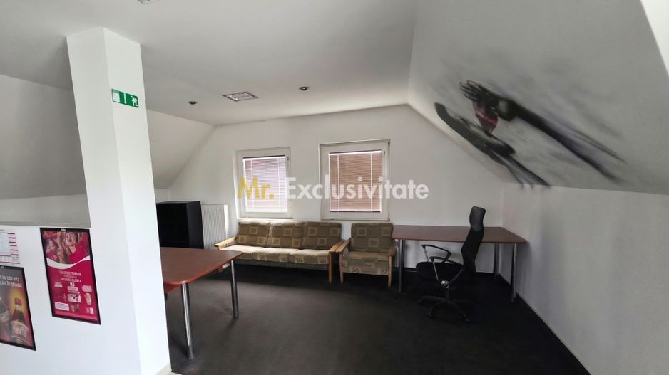 De Vânzare Casă P+M str Vulturului SM - Poză 10
