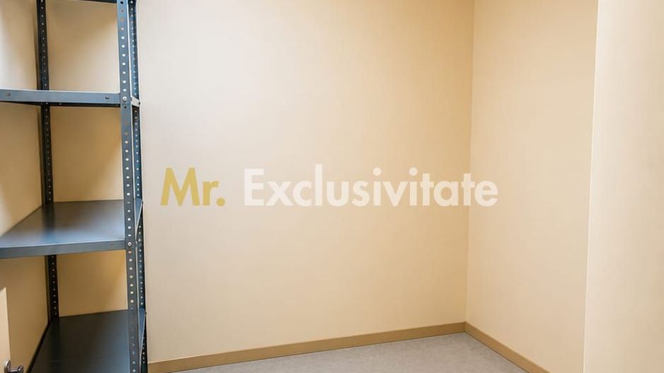 Inchiriere spațiu comercial 133 mp Ultracentral -Tășnad Jud. Satu Mare - Poză 11