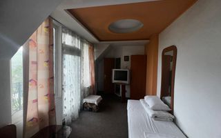 VILA - PENSIUNE CU RESTAURANT + SI TEREN 6406 MP, VALEA MARE PRAVAT, - Poză 40