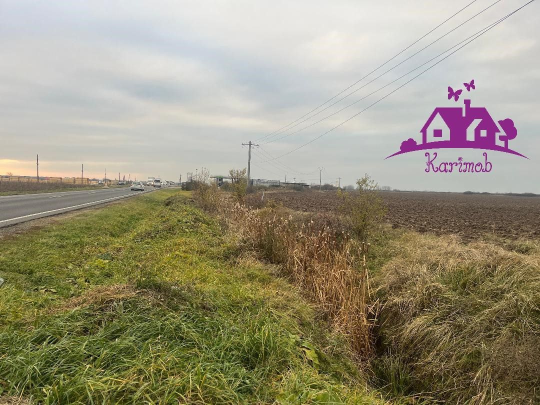Teren pentru hale soseaua Nojorid Les - Poză 3