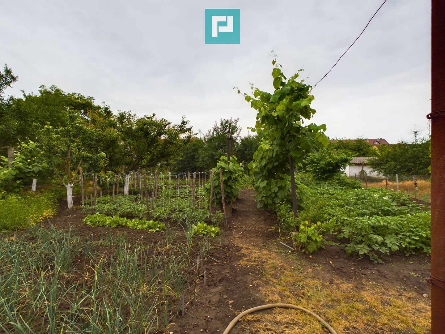 Casă ideală pentru o familie numeroasă, Sântana - Poză 17