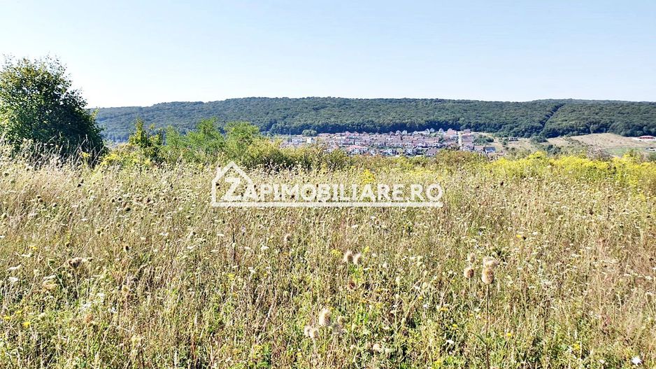Teren  intravilan 702 mp. Corunca - Poză 6